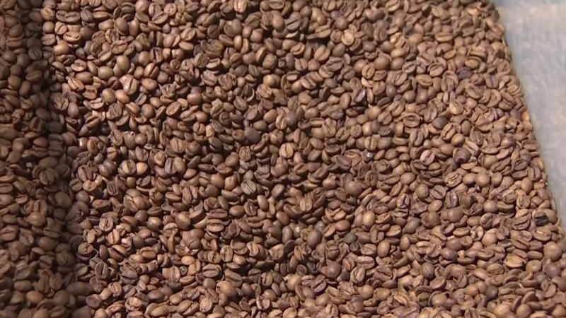 Harvard vincula el consum de caf� amb un menor risc de patir dem�ncia