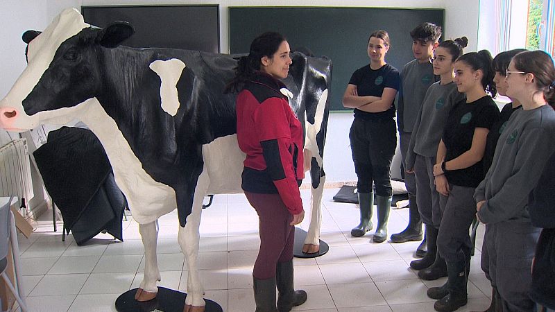 'Lola', la vaca mecánica que ayuda a los alumnos de 'La Granja' en sus clases prácticas