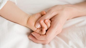 La Fiscal�a de la AN pide a Igualdad el bloqueo de webs extranjeras de maternidad subrogada