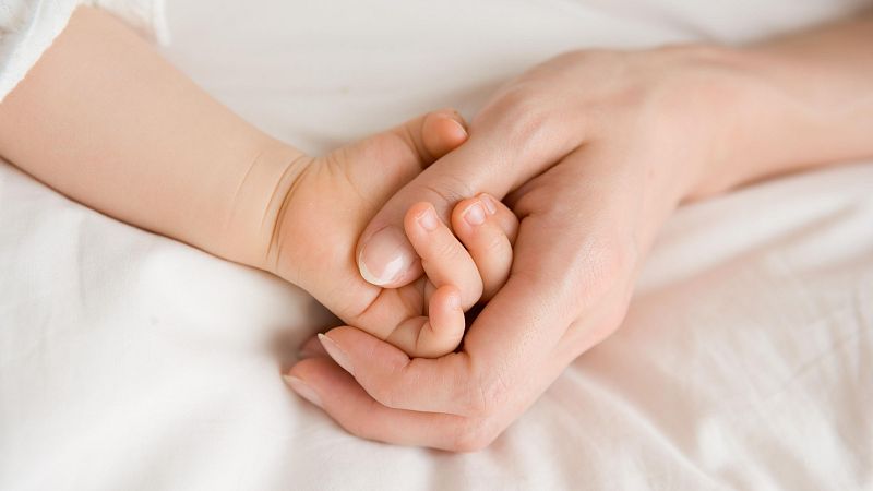 La Fiscal�a de la Audiencia Nacional solicita el bloqueo de 13 webs extranjeras que ofrecen gestaci�n subrogada