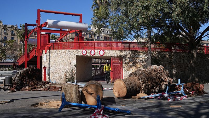 El tiempo del fin de semana de carnaval en España: aviso rojo por viento huracanado en Castellón