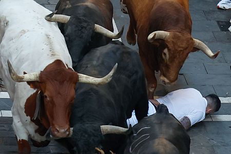 San Ferm�n 2025: los r�pidos y peligrosos toros de Jandilla, protagonistas del quinto encierro de los Sanfermines