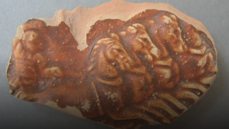 Carreras de cuadrigas para 5.000 personas: el descubrimiento arqueol�gico que eleva a Iru�a-Veleia a "ciudad romana superior"