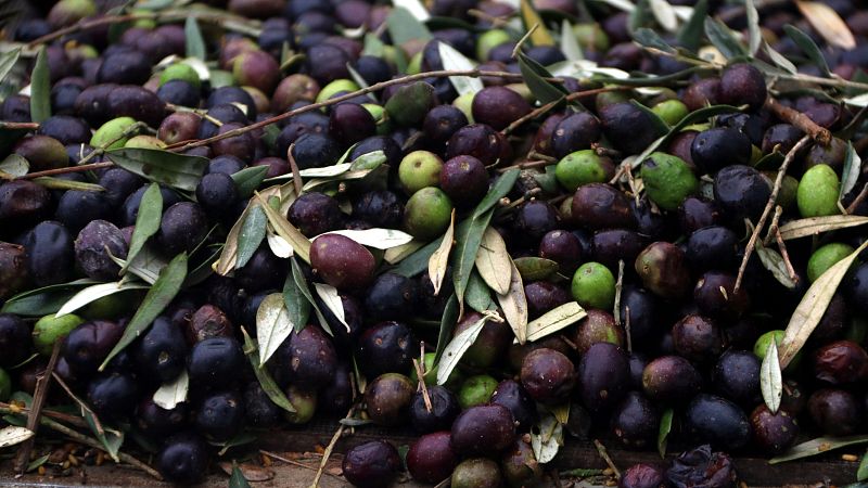 Olives adobades a casa, la recepta base ideal d'Ada Parellada