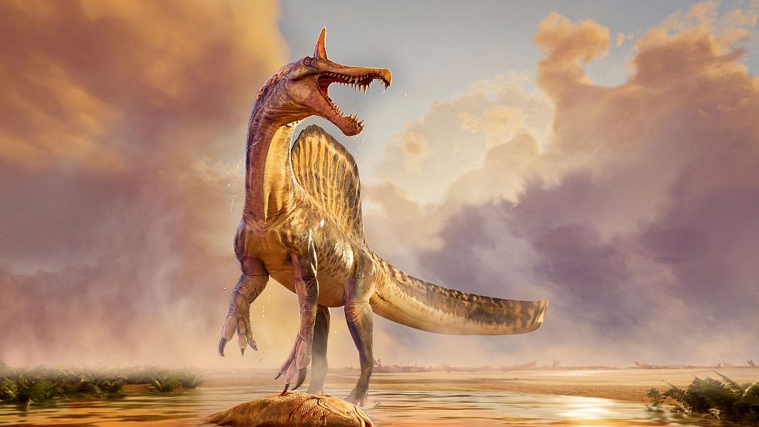 Descubren en el S�hara un nuevo Spinosaurus y reescriben su vida muy lejos del mar