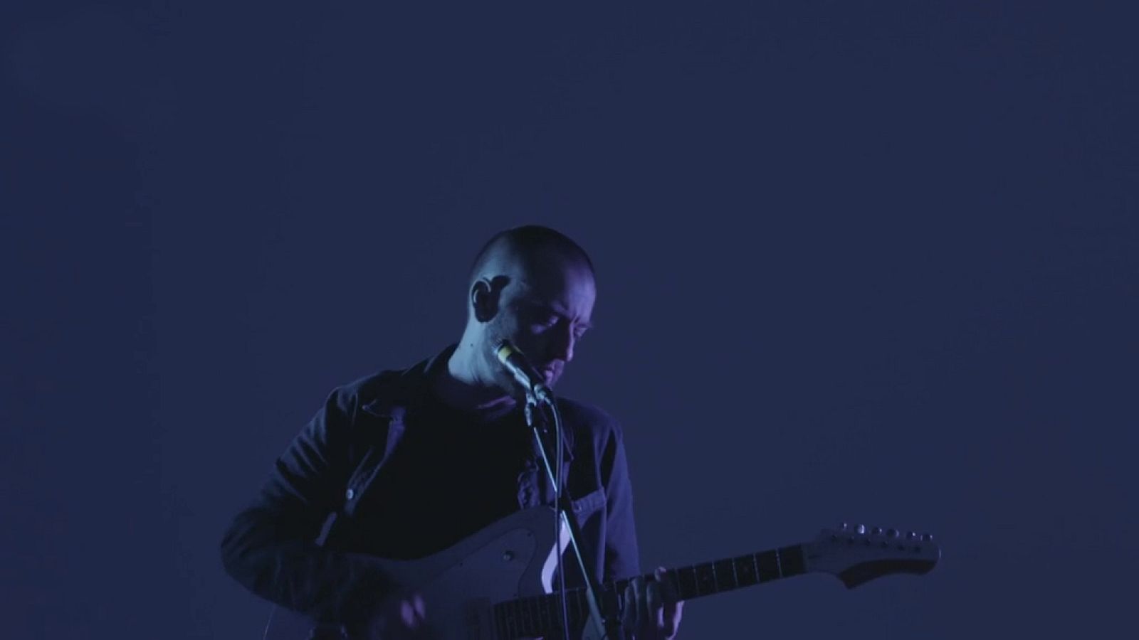 Black Islands - Reino Animal