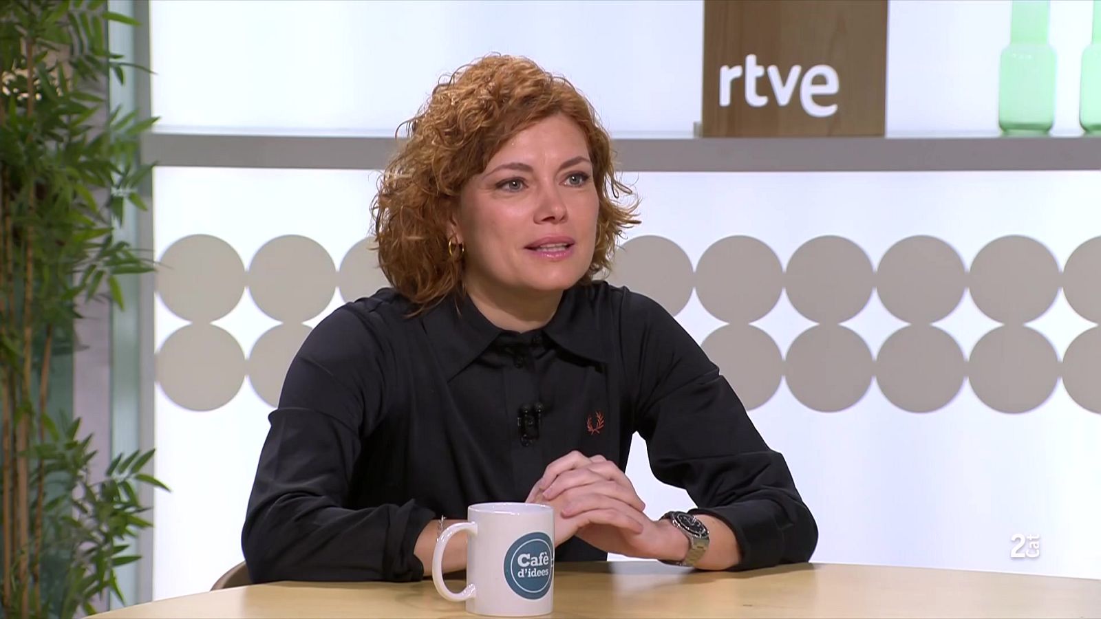 Elisenda Alamany creu que hi haurà pressupostos "però potser no a l'abril"