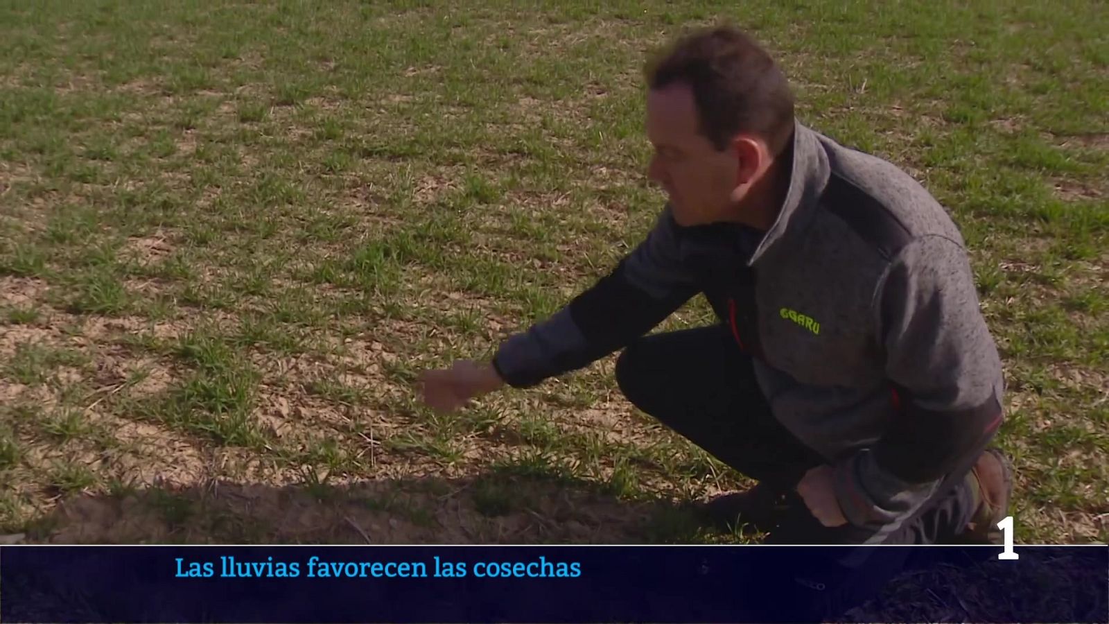 La lluvia de febrero beneficia a las viñas y el cereal | Ver