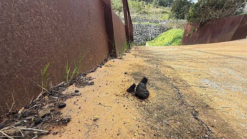 Veïns indignats per les caques de cabra que omplen les voreres de Sant Climent