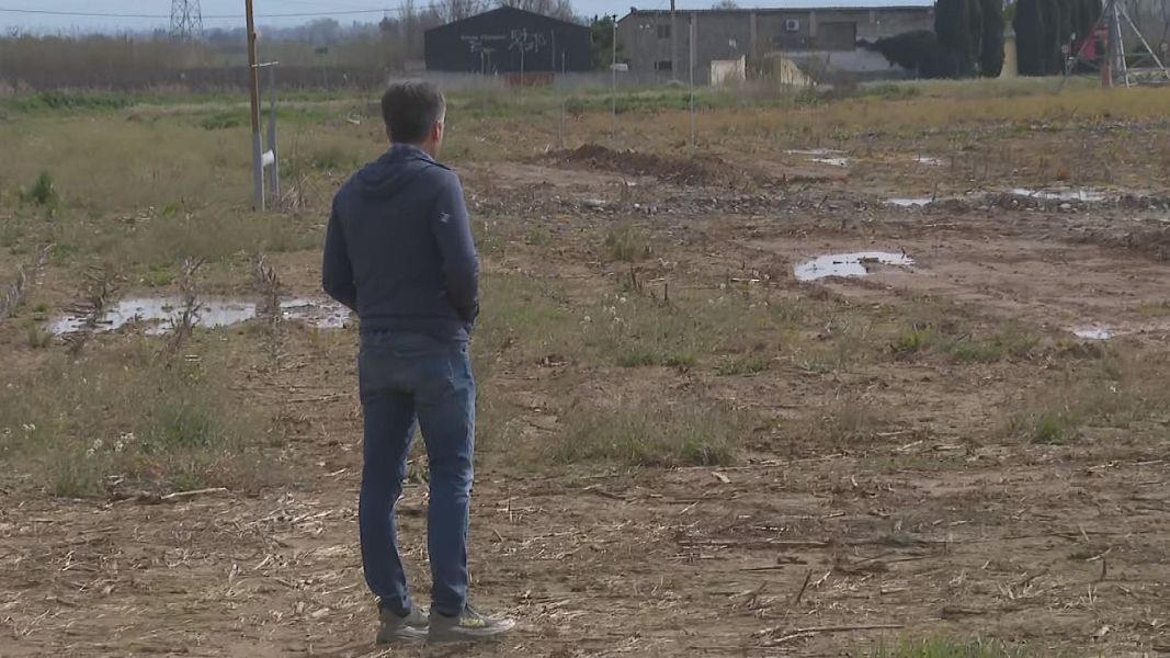 La pagesia alerta que el sector dels cereals est� tocat de mort amb l'escalada de preus