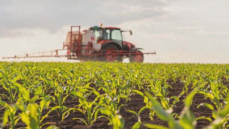 La guerra de Ir�n bloquea la alfalfa aragonesa para alimentar a miles de camellos de Oriente Medio