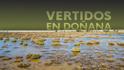 Investigadores universitarios denuncian contaminaci�n por metales pesados en el estuario del Guadalquivir