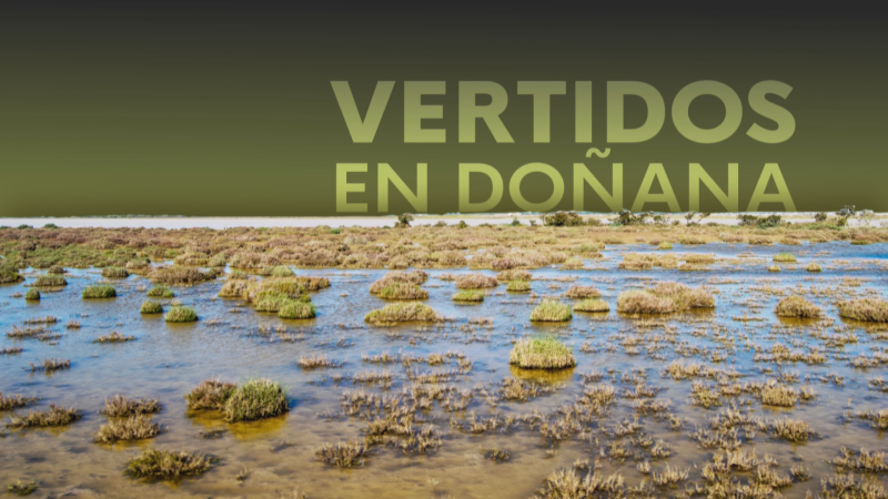 Investigadores universitarios denuncian contaminaci�n por metales pesados en el estuario del Guadalquivir