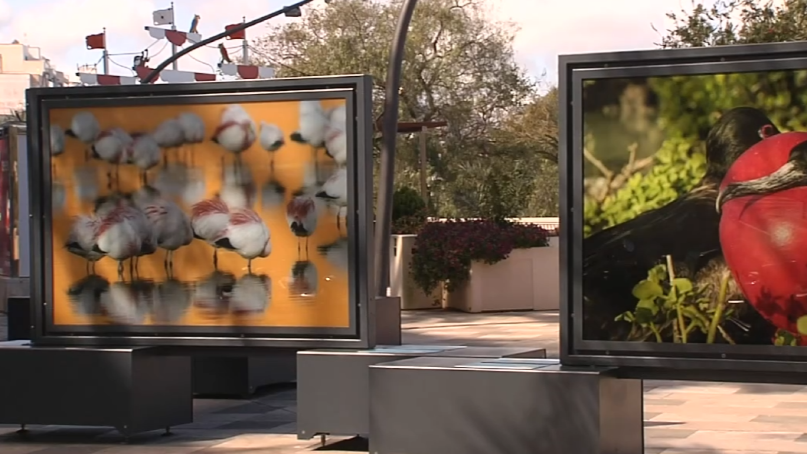 La 'Fundación La Caixa' llega a Ceuta - Noticias de Ceuta | Ver