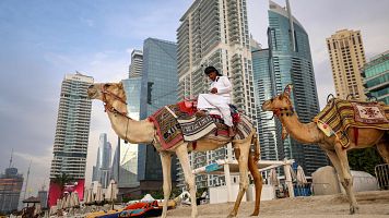 Un camellero espera clientes en una playa de Dubai
