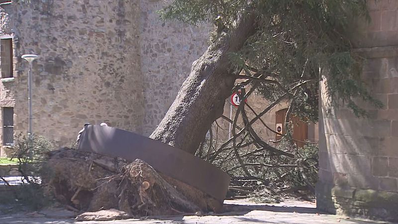 Les ventades deixen 4 ferits, problemes de mobilitat i talls de llum