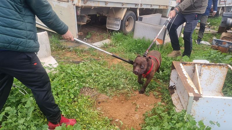 Rescatado un perro en Melilla que estaba encerrado en una furgoneta sin agua ni comida