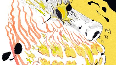 Natalia Velarde gana los VIII Premios ACDC�mic con 'Enc�as quemadas'