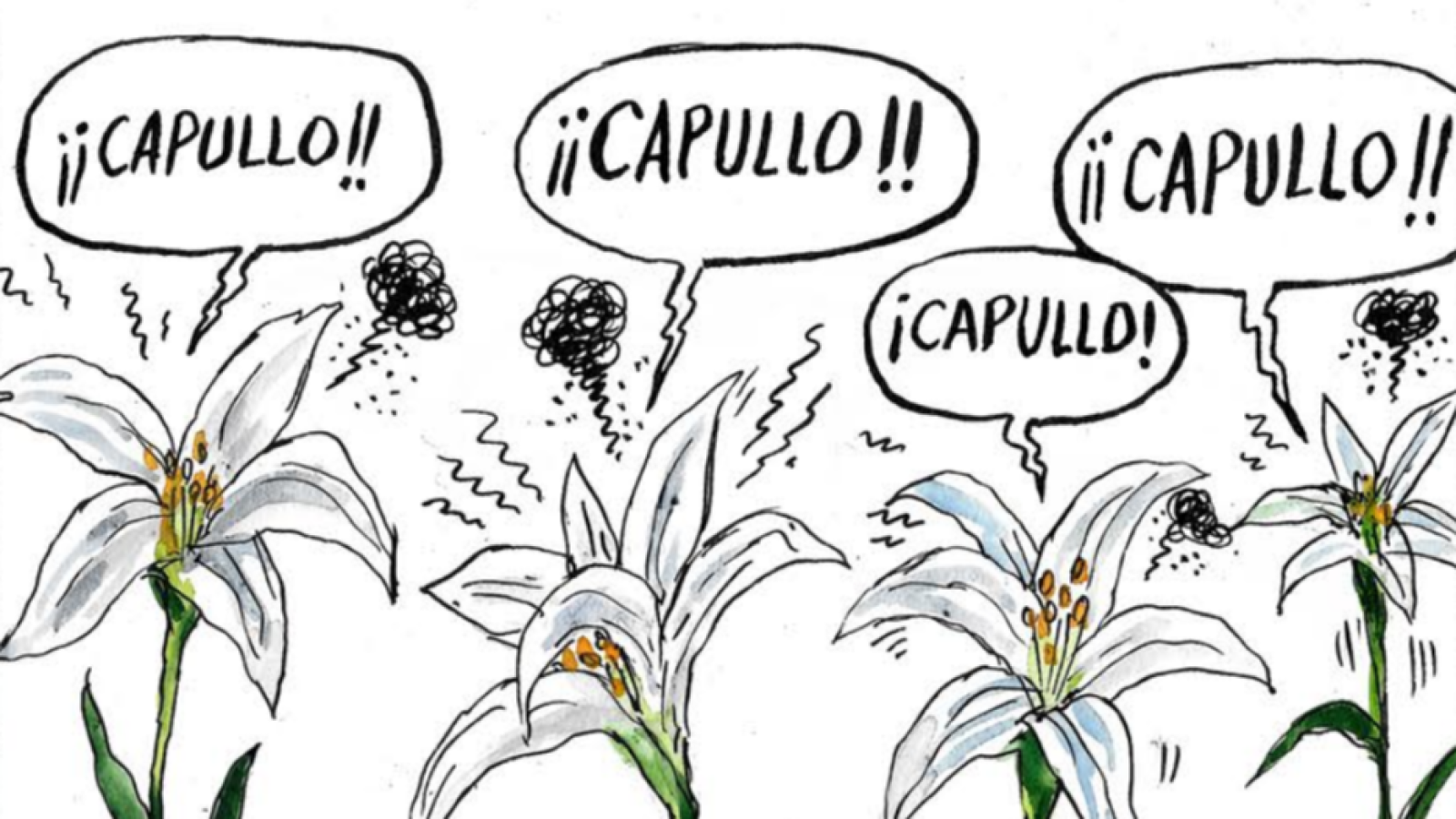 Gallego & Rey dan su bienvenida particular a la primavera - Directo al grano | Ver