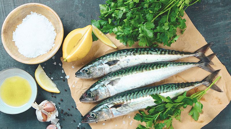 Pescado azul, semigraso o blanco: qué los diferencia y cuál te conviene