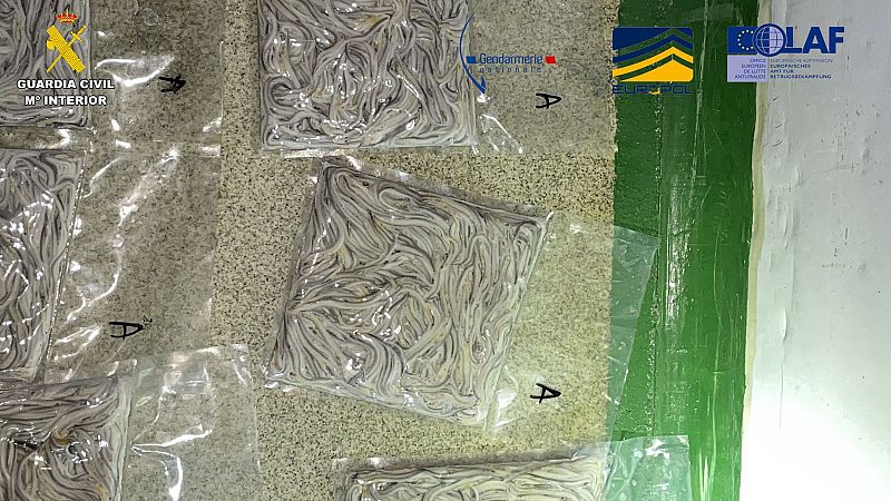 Detenidas 10 personas y embargados casi 3 millones en bienes en una operación contra el tráfico ilegal de angulas