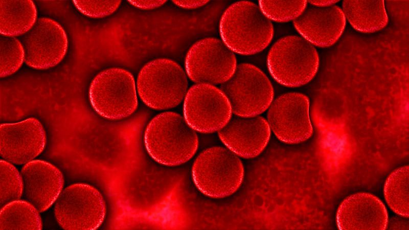 Crean un nuevo test que puede prevenir hasta un 70% de las trombosis en pacientes con cáncer