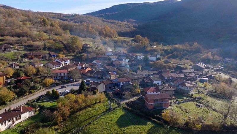 'L'art d'observar', aquesta setmana en 'El escarabajo verde'