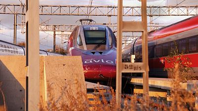 Biom�mesis: la naturaleza como ingeniera