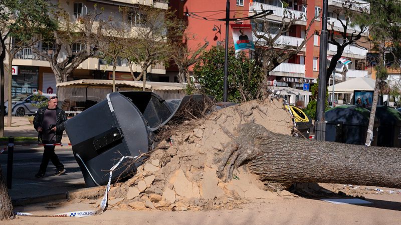 El temporal pone en aviso rojo a Cataluña por fuertes vientos y deja al menos ocho heridos