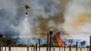 20260329-8b66d89df4ac3b142ebb8915d67b35f5e8340d8e