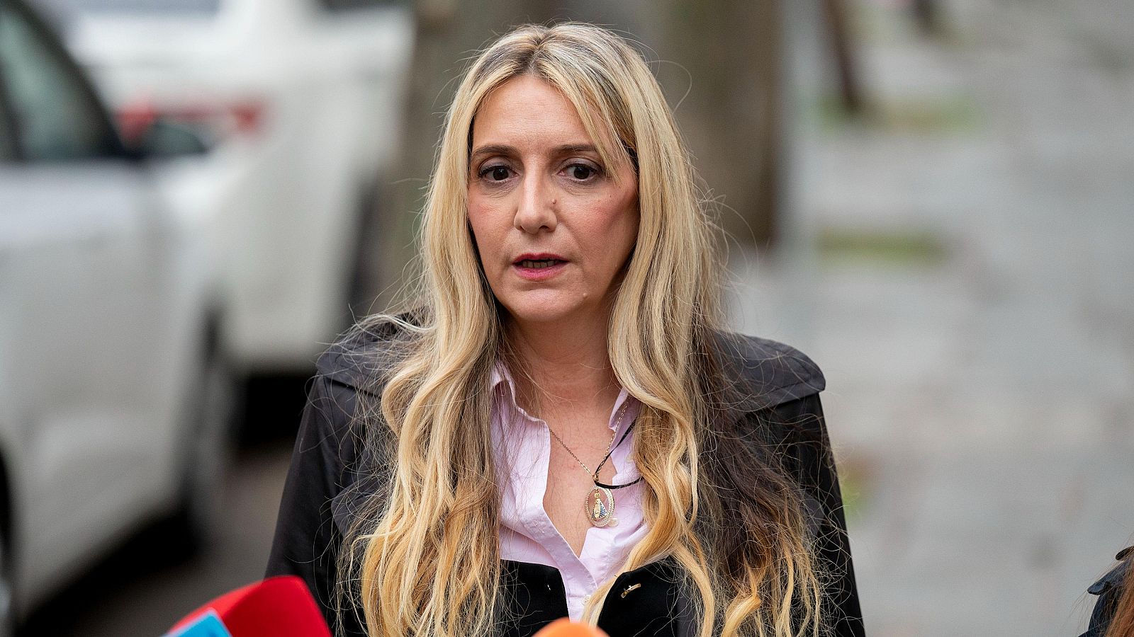 Claudia Montes, "amiga y compañera de partido" del exministro de Transportes José Luis Ábalos y que trabajó en Logirail entre 2019 y 2022, ha asegurado este miércoles desconocer si el exdirigente socialista medió para que la contrataran en dicha empresa pública, vinculada a Renfe.