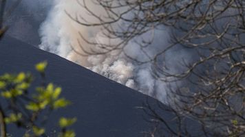 Vista del incendio forestal declarado en la localidad c�ntabra de Saja