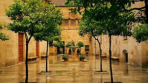 Pati dels Tarongers del Palau de la Generalitat de Catalunya