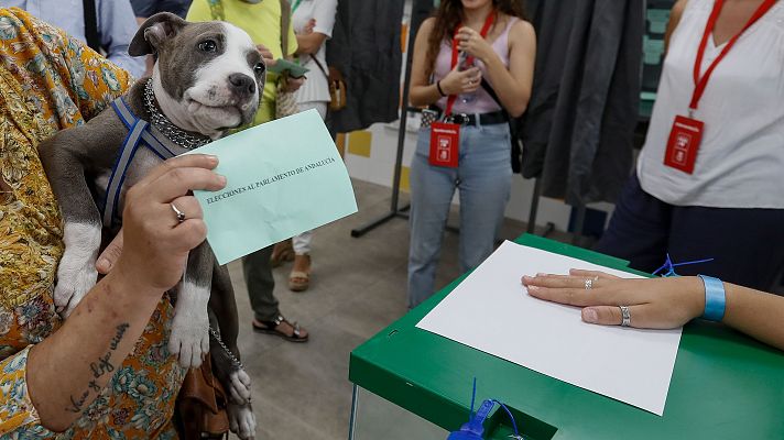 Una mujer acude con su perro a votar en las elecciones al Parlamento andaluz en 2022.