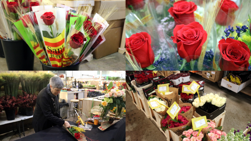 Els floristes preveuen repetir els 7 milions de roses venudes per Sant Jordi
