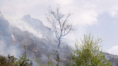 Incendio en Sierra Aramo, Proaza