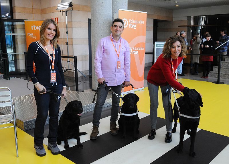 Voluntarios de RTVE 'aprenden' a caminar con perros gua de la Fundacin ONCE