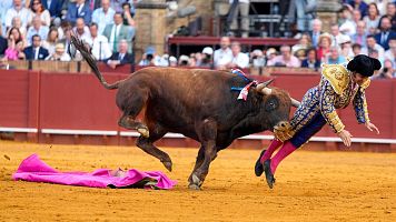 Cogida de Morante de la Puebla en la plaza de la Maestranza de Sevilla