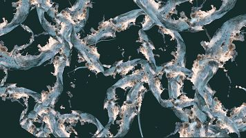 Rosa Mu�oz invita a contemplar la geometr�a sagrada del agua