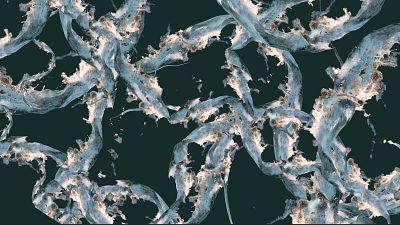 Rosa Mu�oz invita a contemplar la geometr�a sagrada del agua