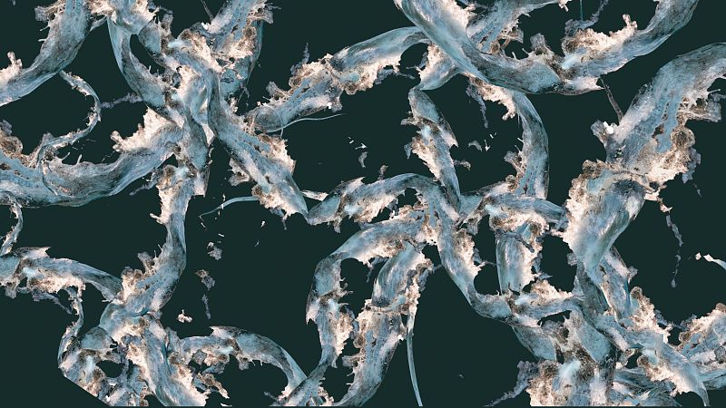 Rosa Mu�oz invita a contemplar la geometr�a sagrada del agua