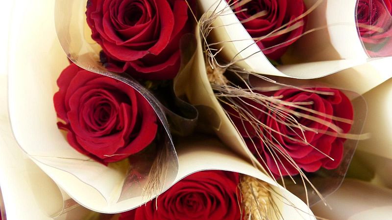 RTVE Catalunya surt al carrer per Sant Jordi amb una programació especial des de Plaça Catalunya