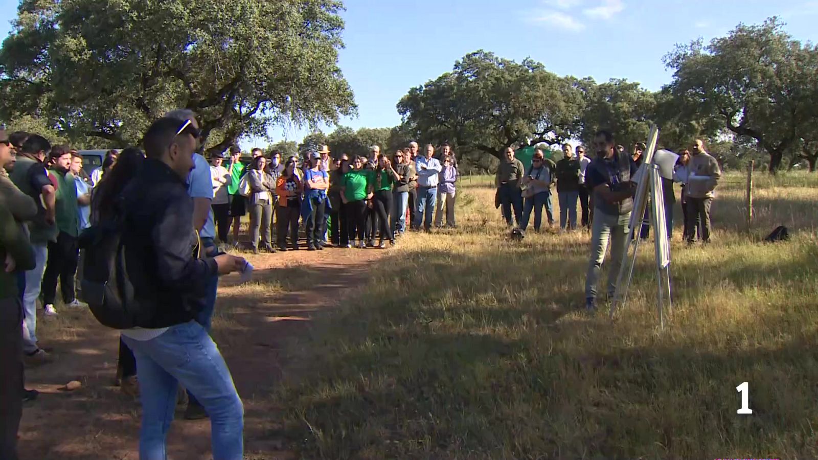 Prueban el modelo de ayudas de pago por resultados en dehesas de Sierra de San Pedro y Monfragüe - Noticias de Extremadura | Ver
