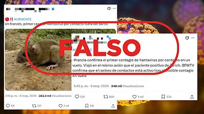 Francia no ha confirmado un caso de hantavirus hasta la fecha