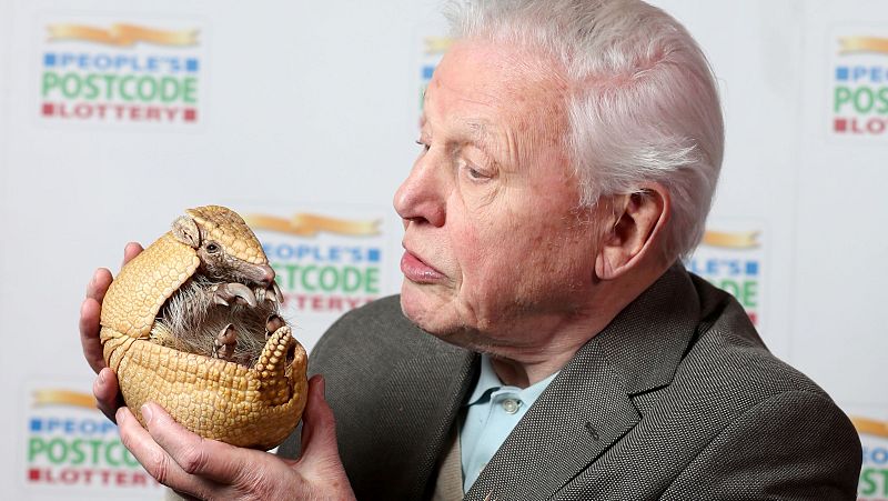 David Attenborough: el gran divulgador de la naturaleza cumple 100 años