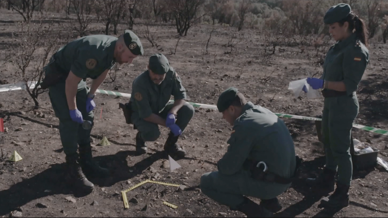 Incendios en 2025, los peores de este siglo: España sufrió las peores olas de fuegos forestales desde 1995