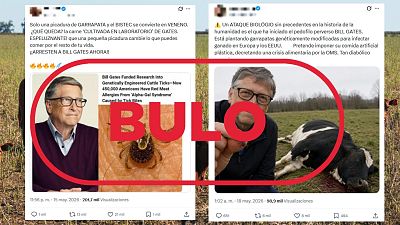 Bill Gates no planta garrapatas modificadas gen�ticamente en ganado para generar intolerancia a la carne
