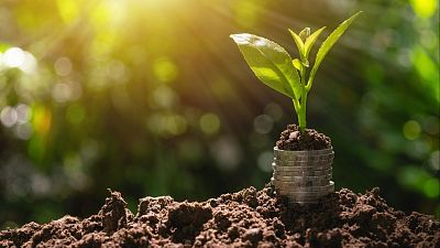 ¿Dinero bueno o dinero malo? La respuesta está en el ikigai