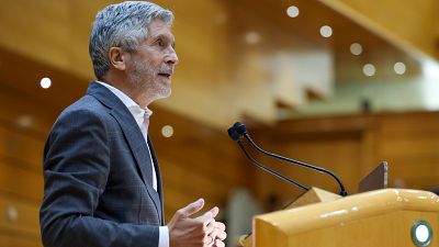 Marlaska anuncia la instalaci�n de barreras m�viles contra el narcotr�fico en el Guadalquivir
