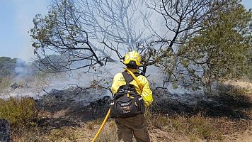 Bombero forestal trabajando para extinguir el incendio en Do�ana